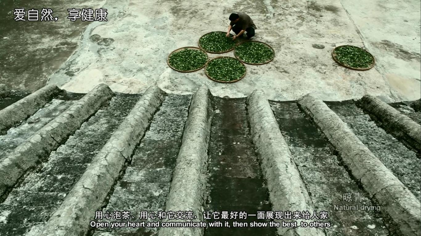 乡土乡亲茶人纪录片《叶叔家的凤凰单枞》图4