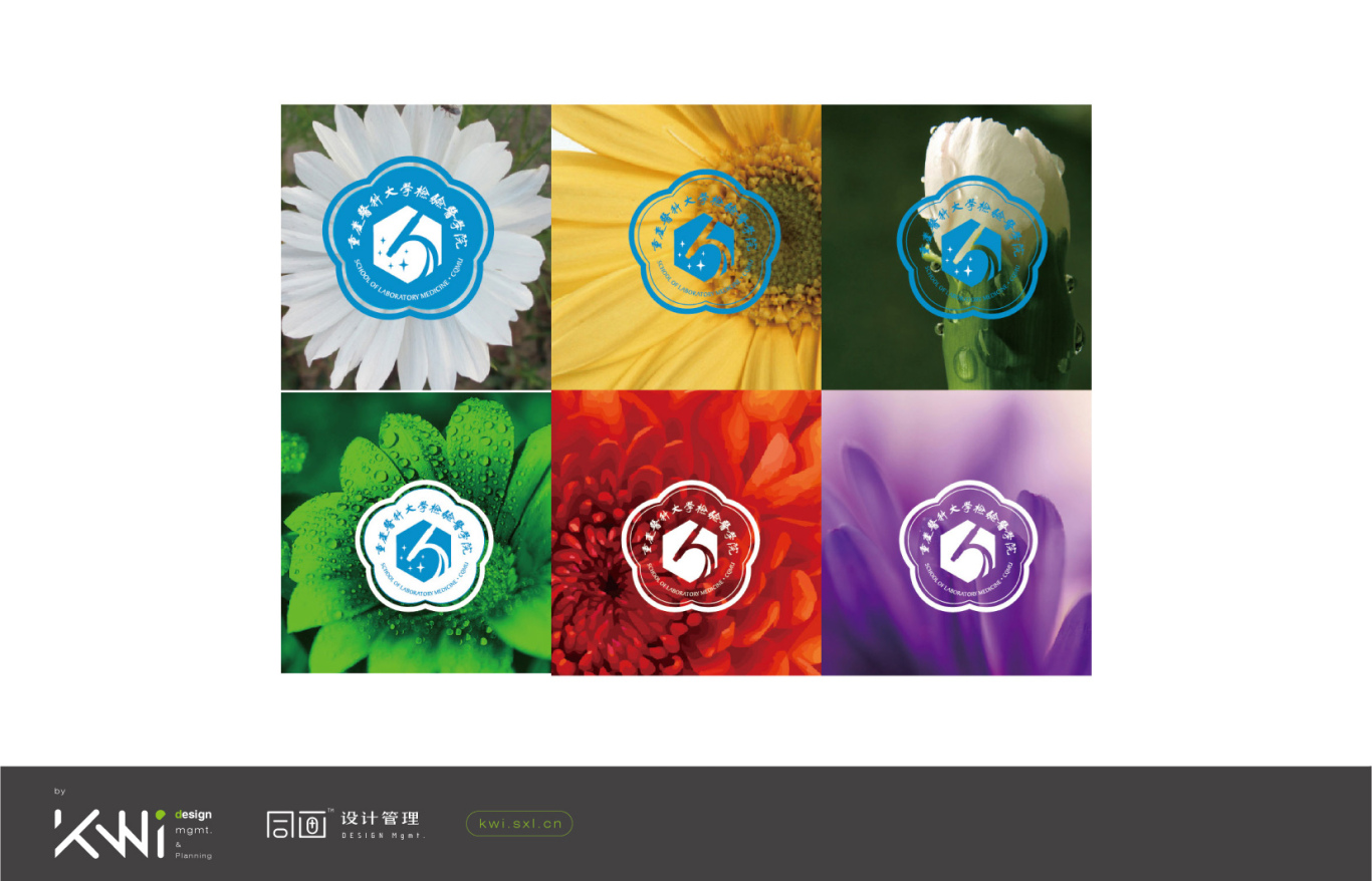 重庆医科大学检验医学院VI/logo视觉形象系统设计图3