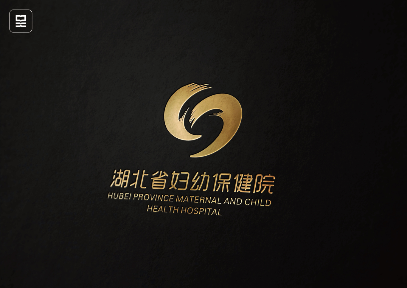 湖北省妇幼保健院Logo设计图9
