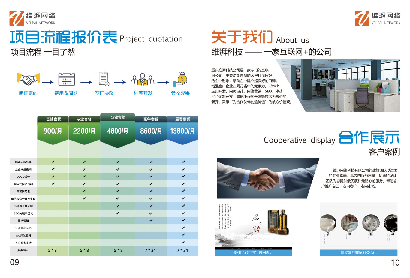 重庆维湃科技公司宣传手册图5