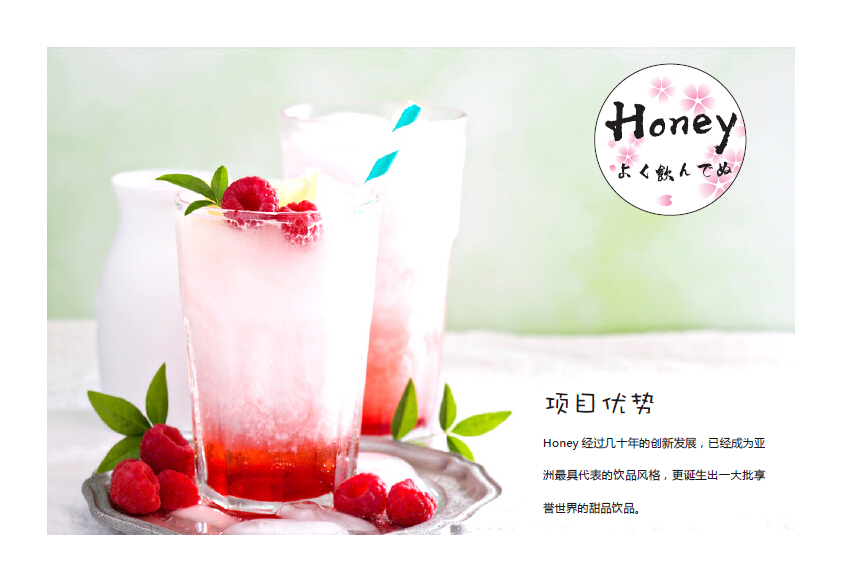 Honey-宣传册设计中标图5