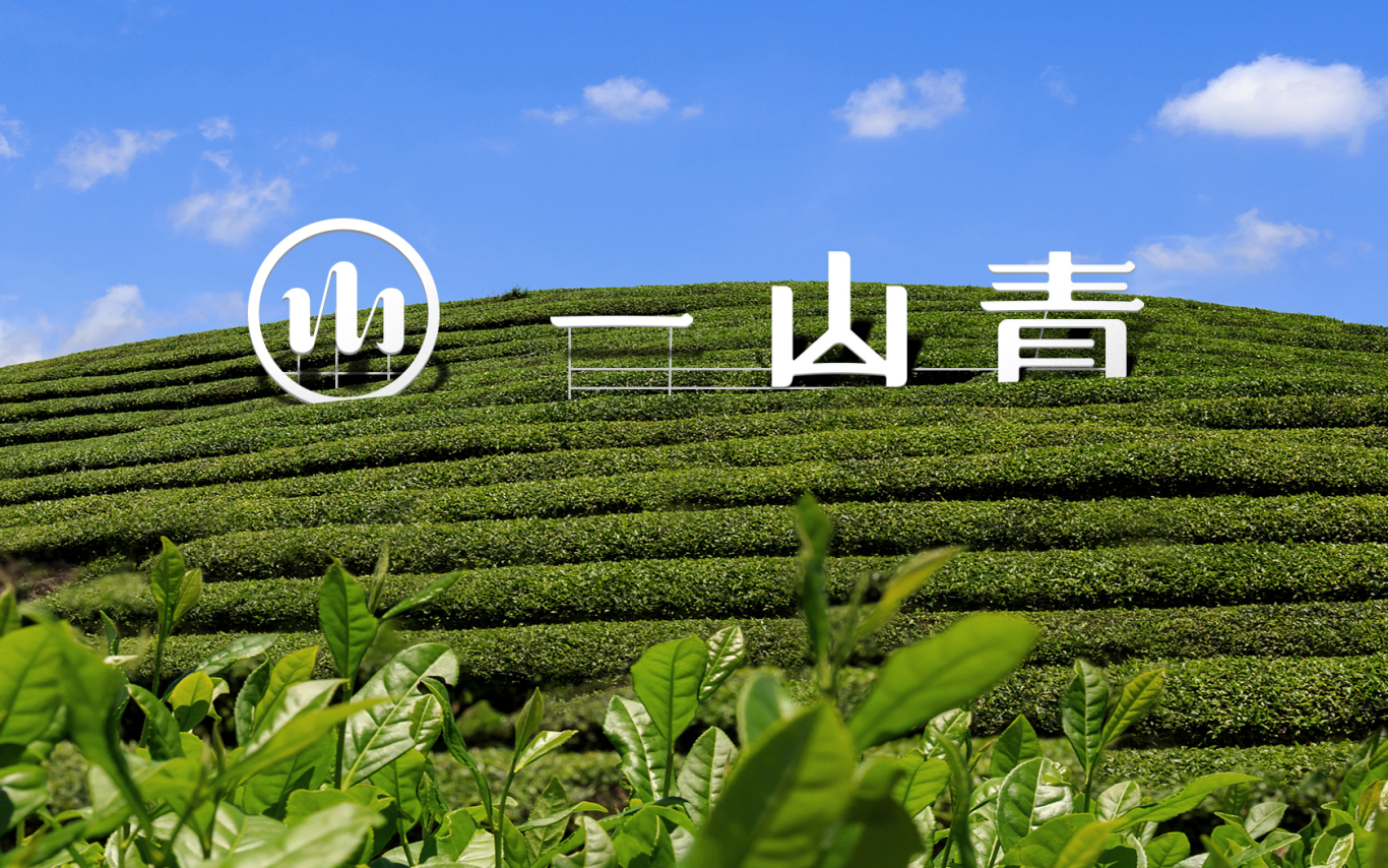 YISHANTEA | 四川万源一山青茶叶品牌图16