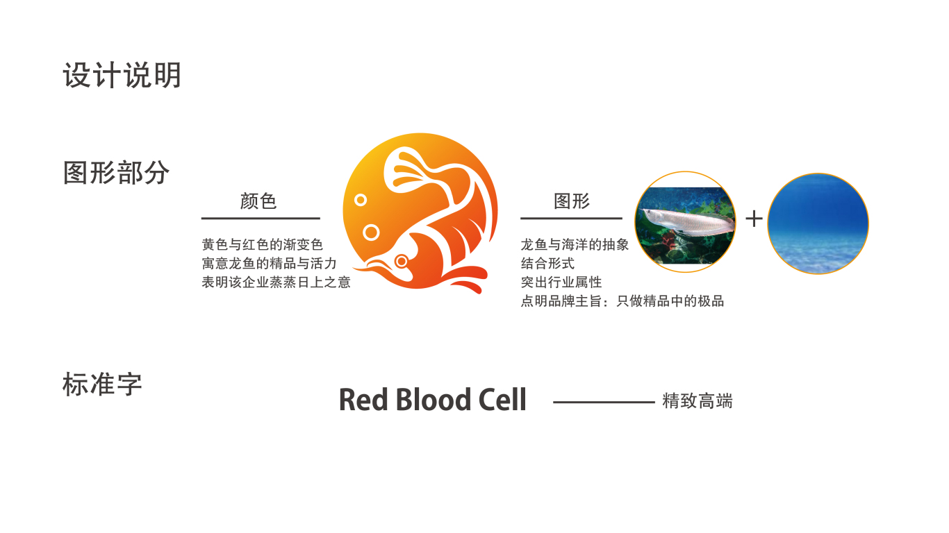 红细胞图3