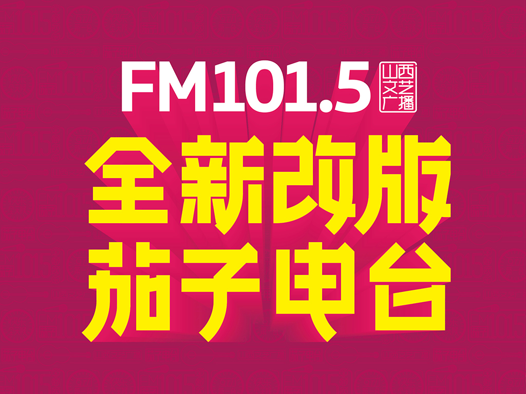 FM101.5 茄子电台品牌设计图6