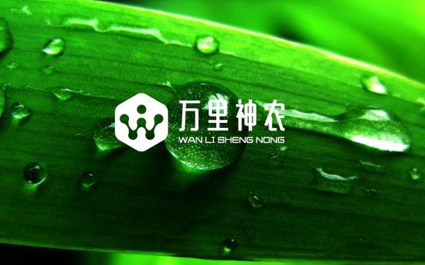 科技农业品牌logo设计