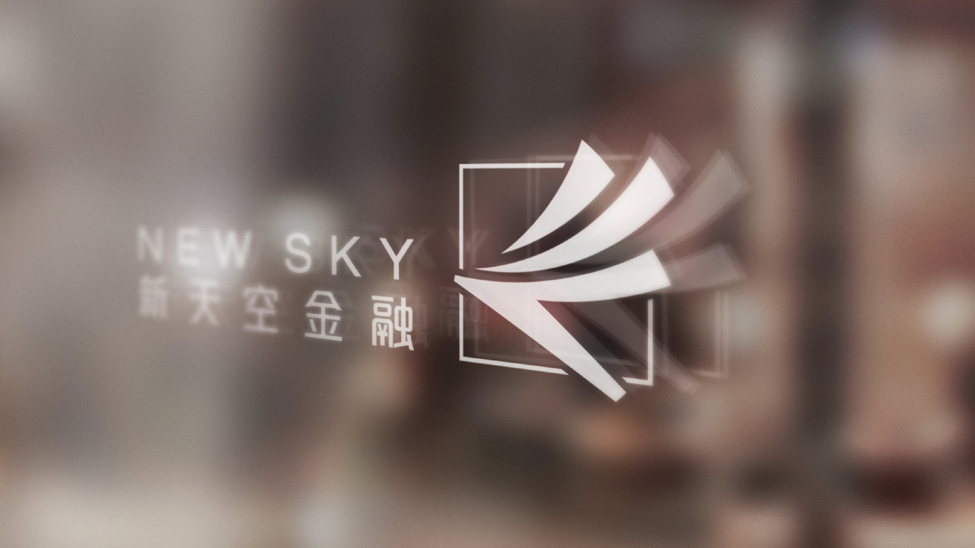 NewSky（新天空金融）_logo形象设计图13