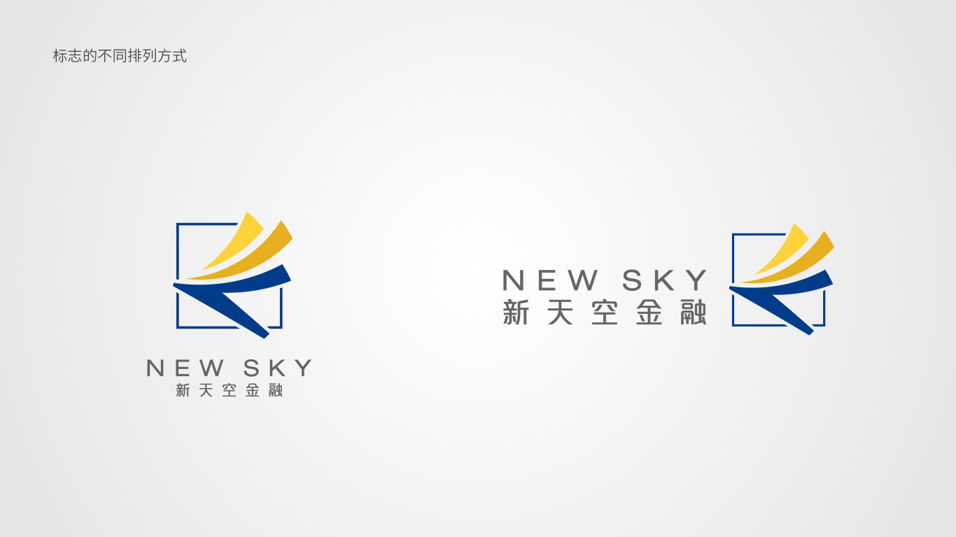 NewSky（新天空金融）_logo形象设计图8