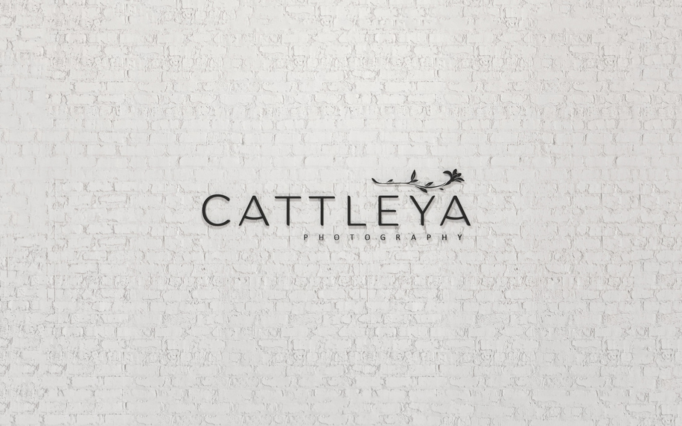 卡多利亚摄影（Cattleya Photography）图4