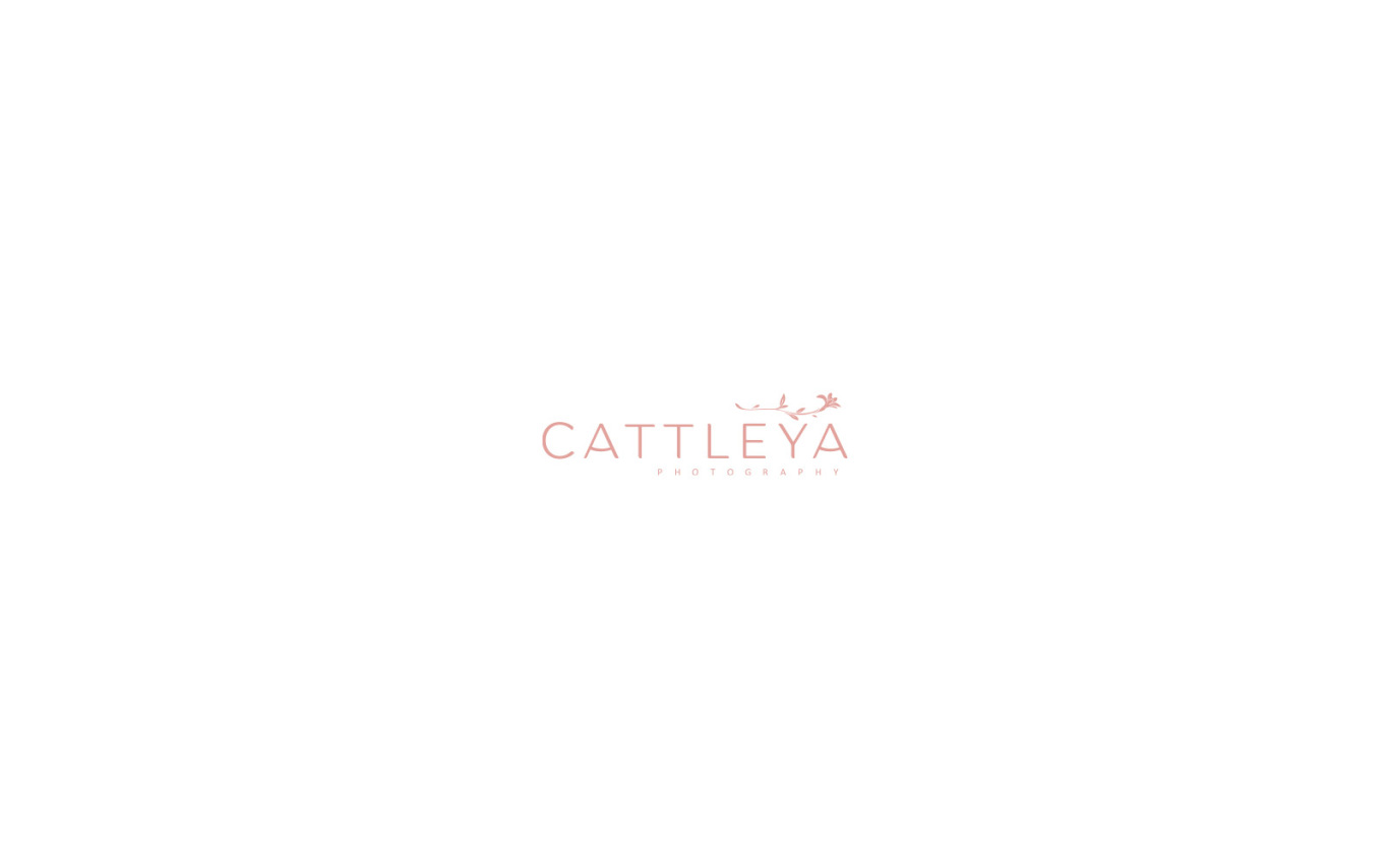 卡多利亚摄影（Cattleya Photography）图0