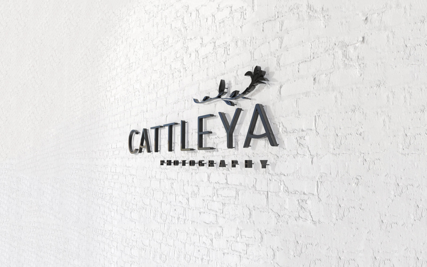 卡多利亚摄影（Cattleya Photography）图3