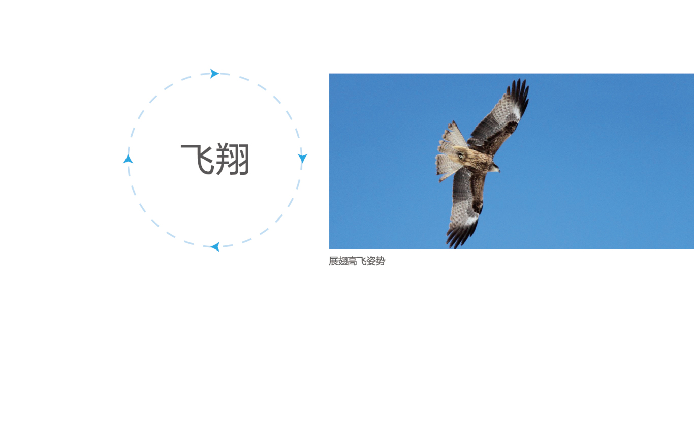 科大讯飞logo升级图6