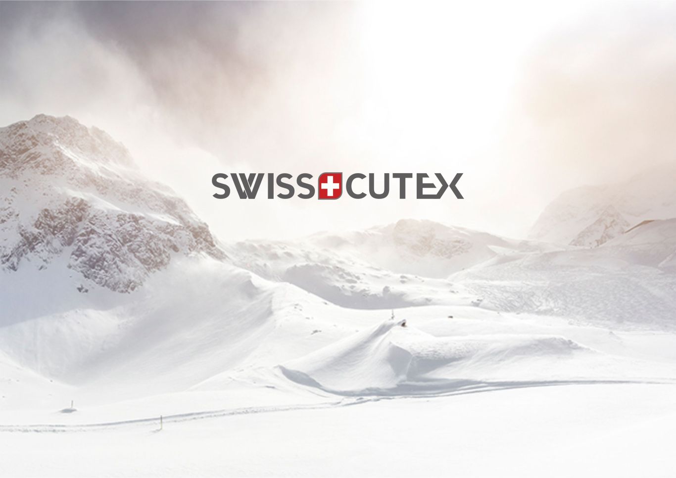 SWISS+CUTEX滑雪手套图0