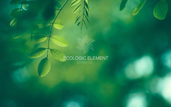 自然元素 Ecologic Element LOGO提案