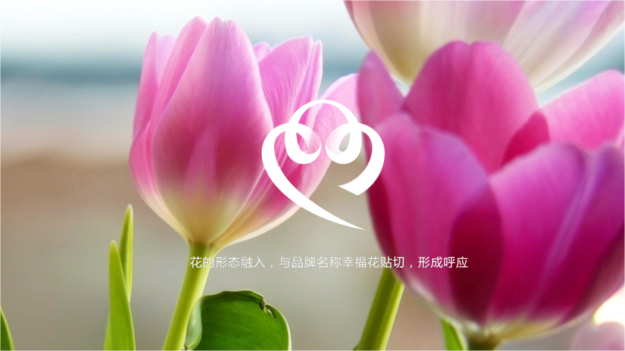 天津幸福花欢乐世界LOGO设计中标图6