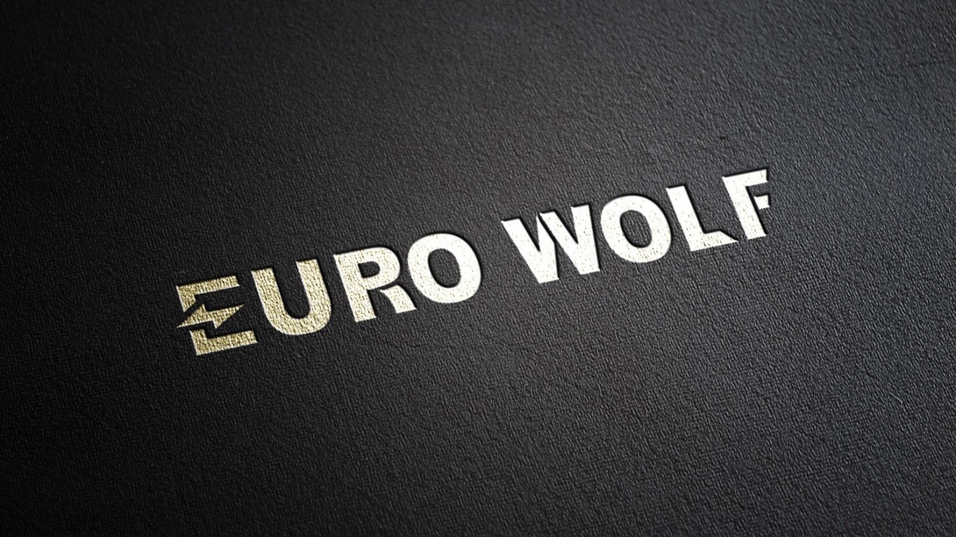 EURO WOLF外贸LOGO设计图3