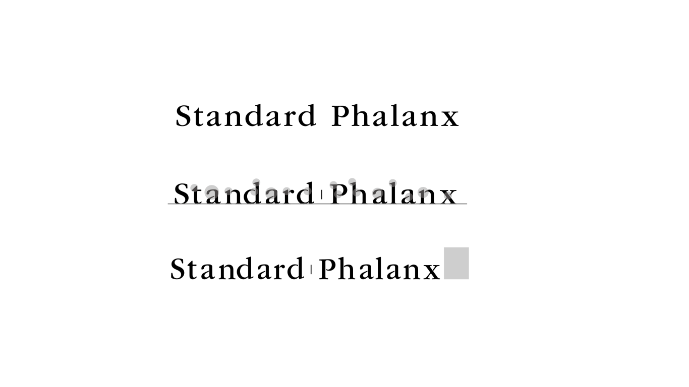 standard-phalax图10