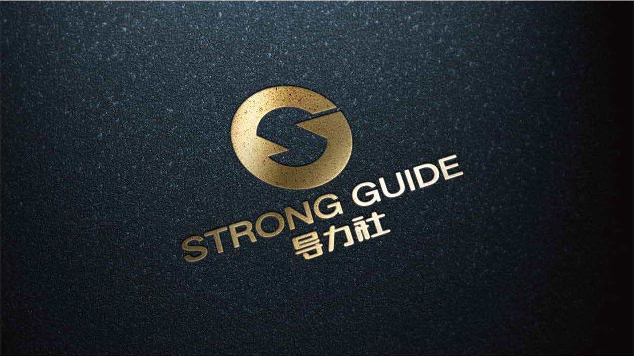 Strong Guide 导力社LOGO设计中标图4