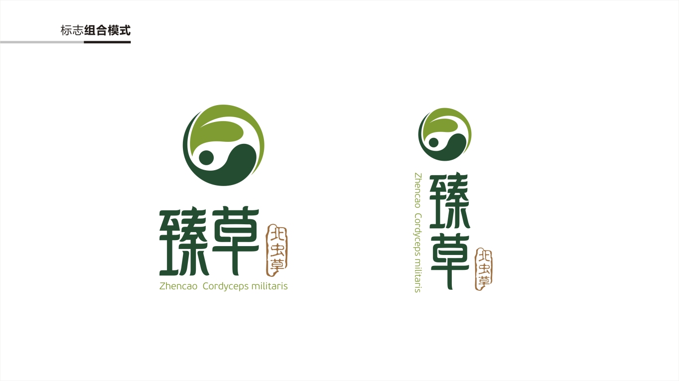 臻草logo设计