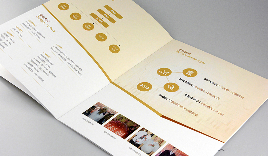 钟丽群画册设计作品：一金所金融画册设计图2