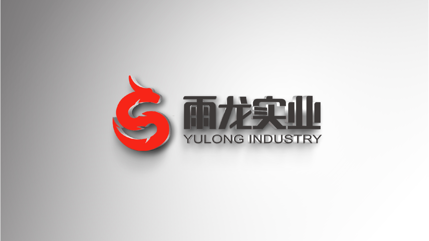 雨龙实业logo设计图5