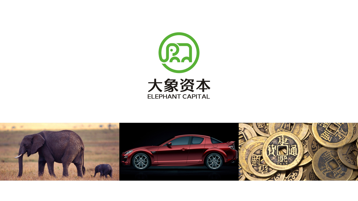  大象资本 汽车金融 logo设计 VI设计图3