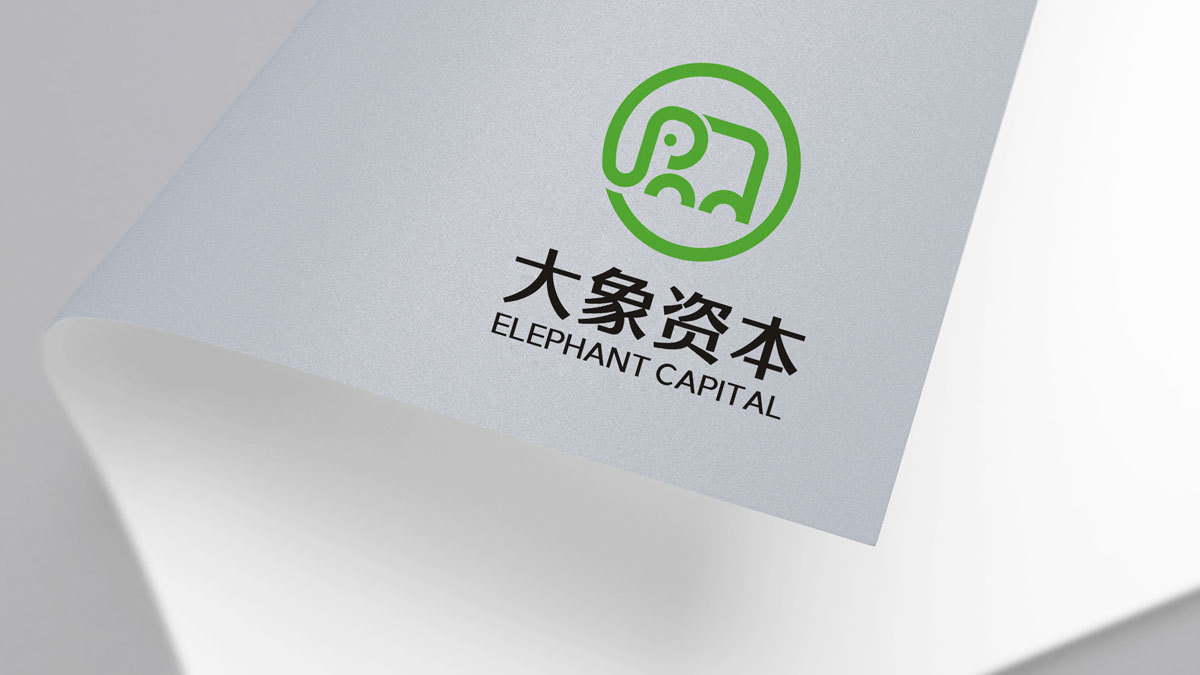 大象资本 汽车金融 logo设计 VI设计图6