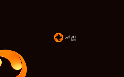 safari 资产管理logo／vi设...