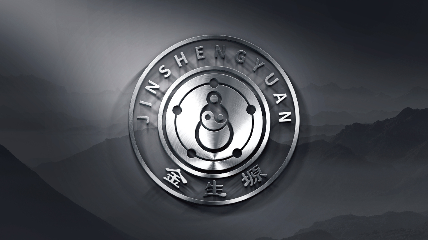 金生塬logo设计图6