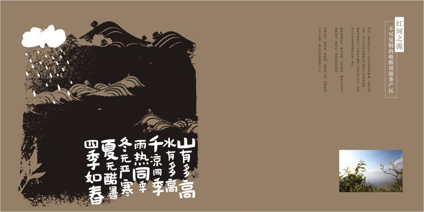 红河茶业画册设计图3
