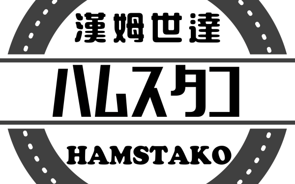 南京汉姆世达文化传播有限公司logo