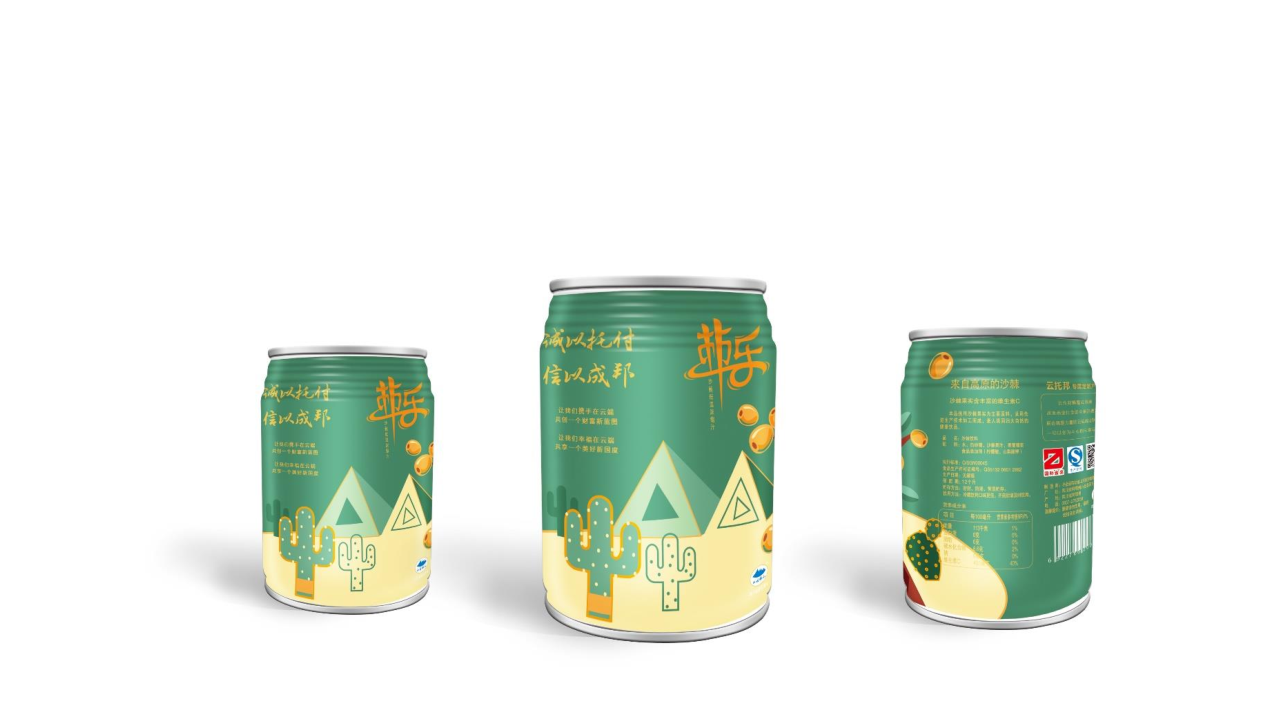 沙棘饮料包装设计-手绘风格图2