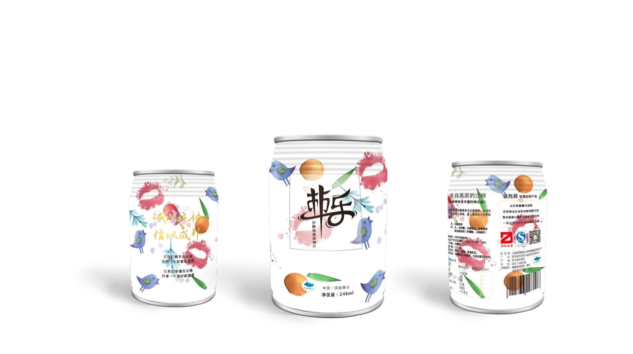 沙棘饮料包装设计-手绘风格图3