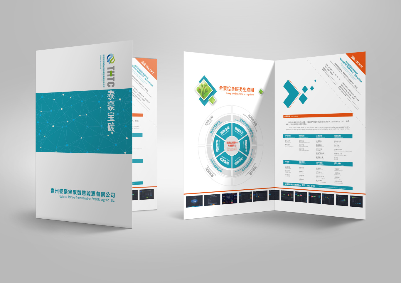 泰豪宝碳智慧能源画册海报等平面设计-画册设计图0