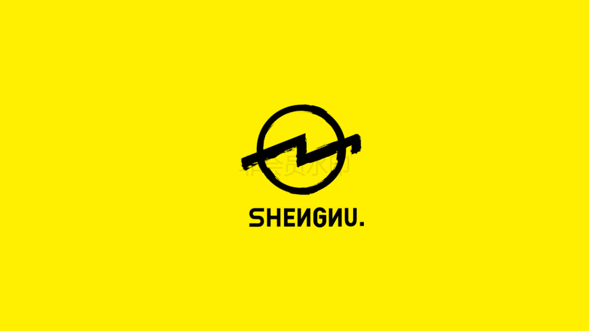 SHENNU潮牌男装品牌设计图6