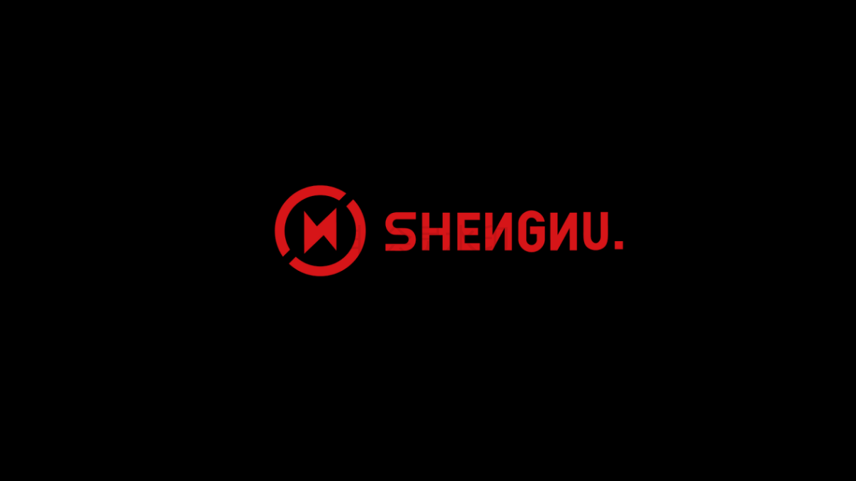 SHENNU潮牌男装品牌设计图30