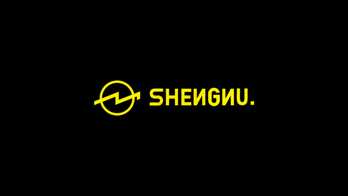 SHENNU潮牌男装品牌设计图5