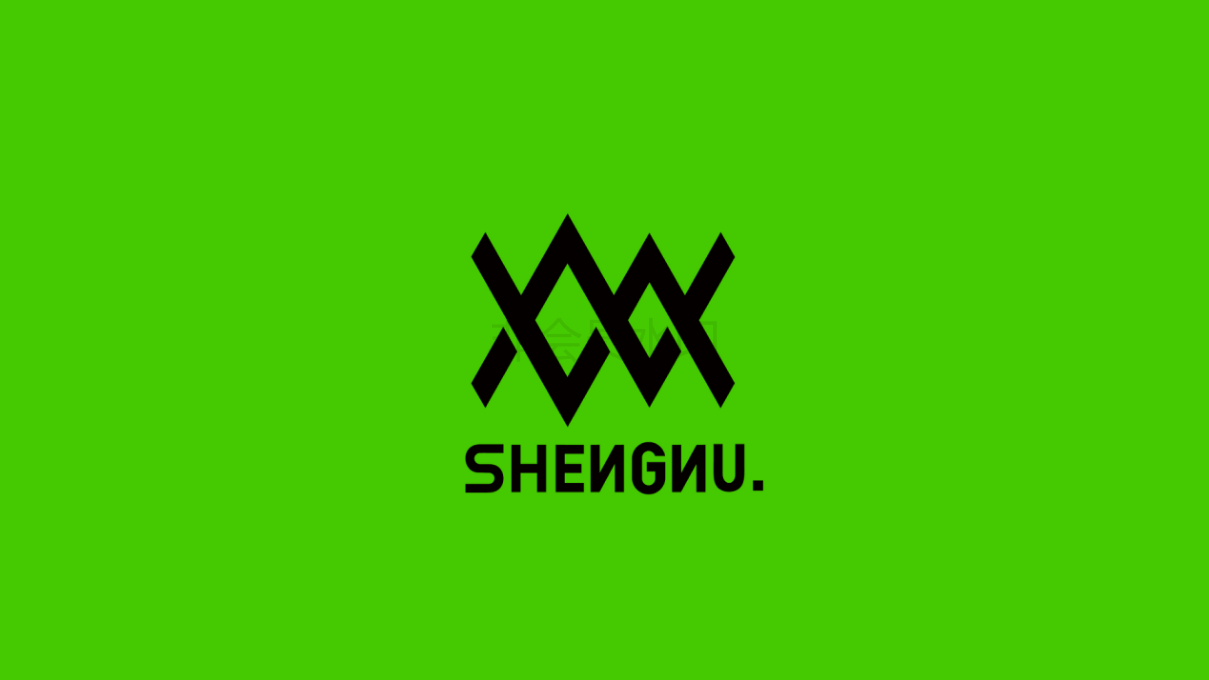 SHENNU潮牌男装品牌设计图53