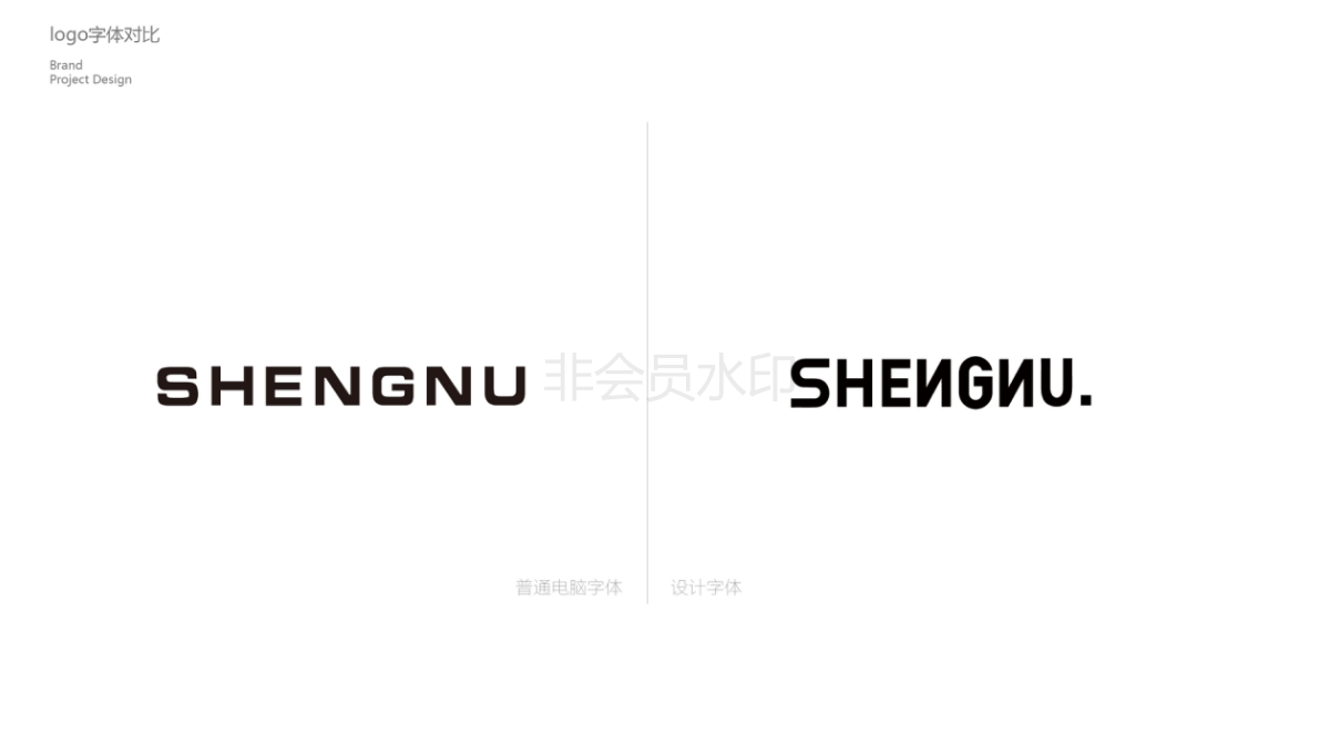 SHENNU潮牌男装品牌设计图55