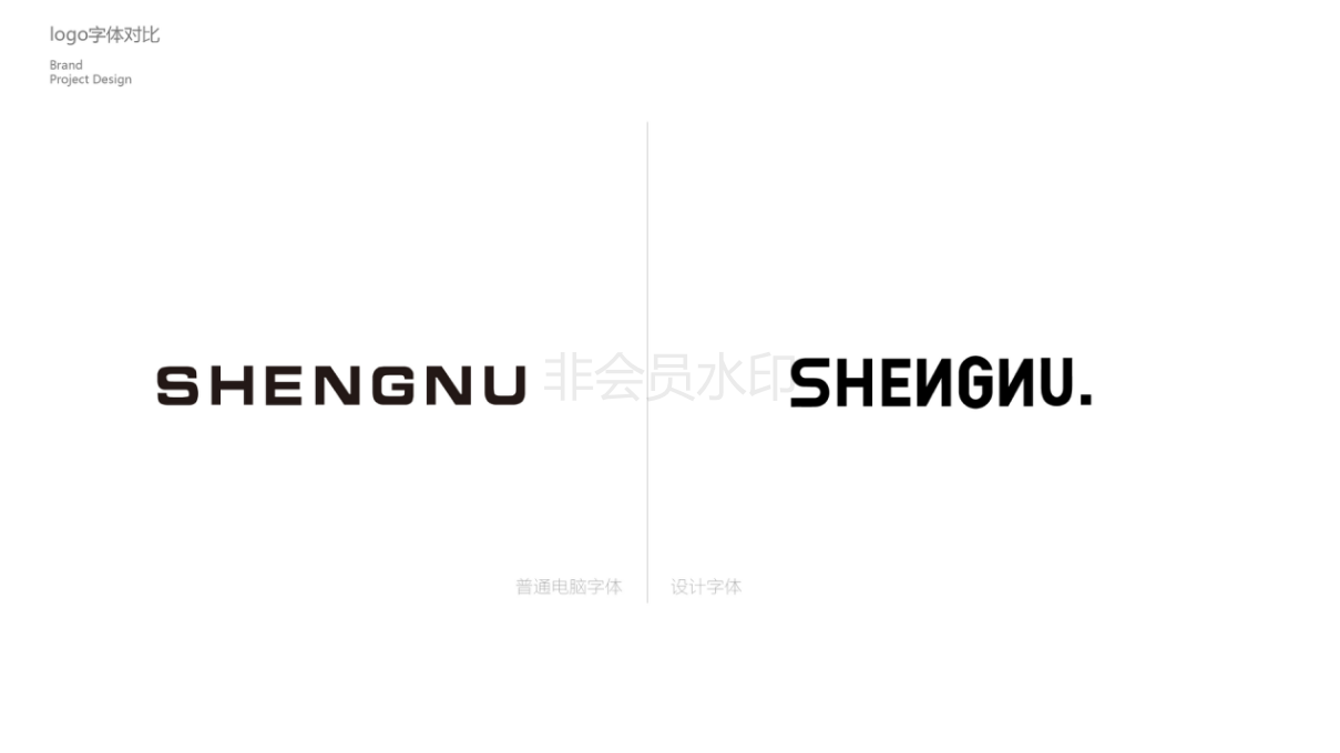 SHENNU潮牌男装品牌设计图33