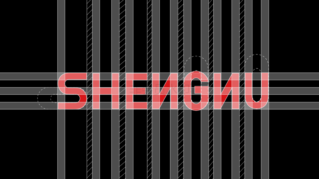 SHENNU潮牌男装品牌设计图35