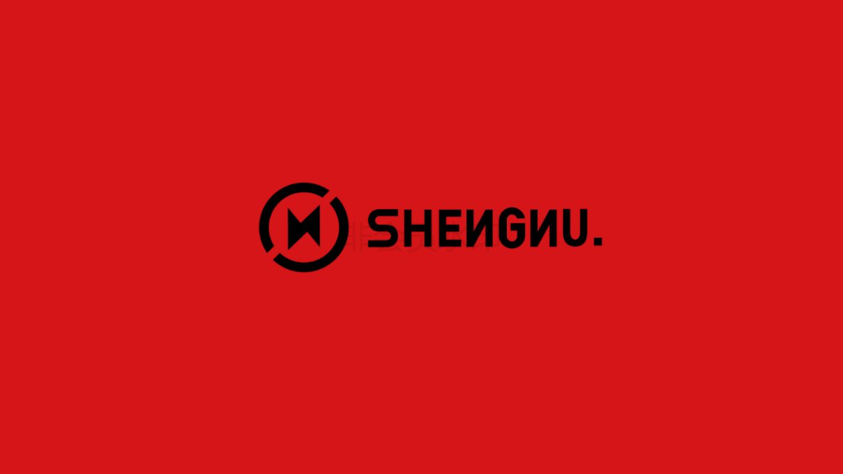 SHENNU潮牌男装品牌设计图31