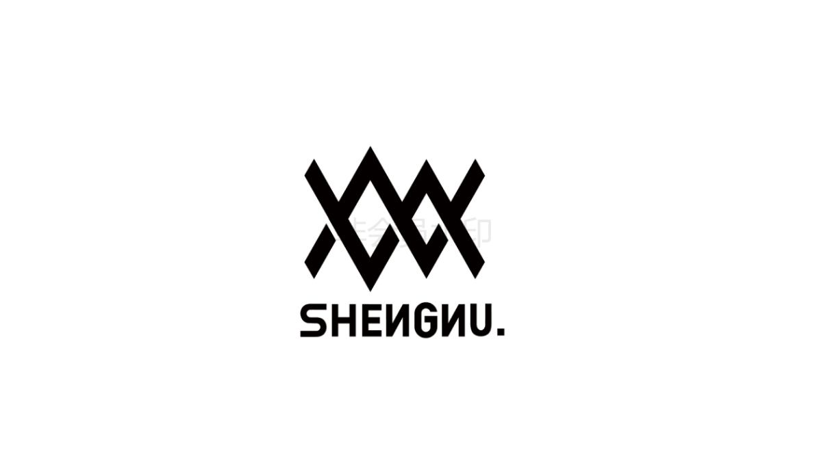 SHENNU潮牌男装品牌设计图51