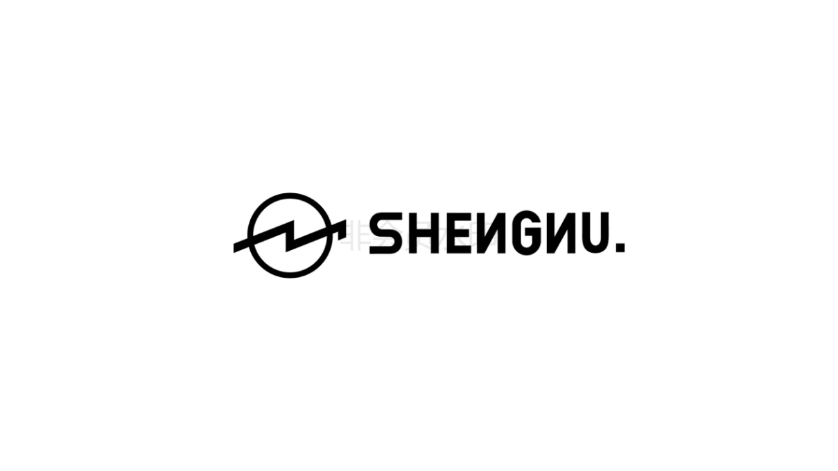 SHENNU潮牌男装品牌设计图3