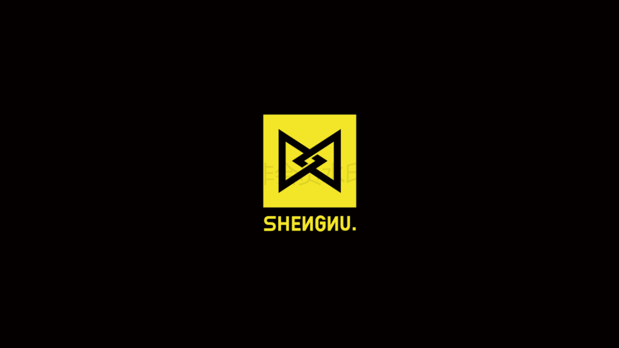SHENNU潮牌男装品牌设计图76
