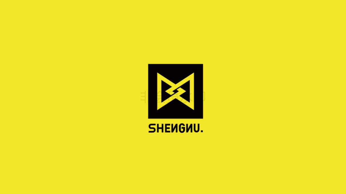 SHENNU潮牌男装品牌设计图77