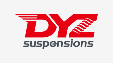 DYZ 品牌logo设计