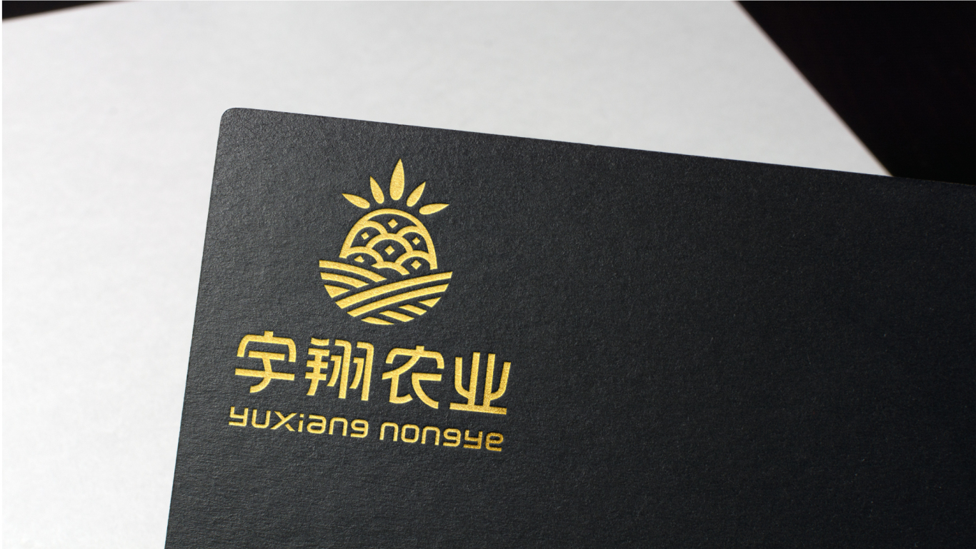 宇翔农业品牌logo设计图8