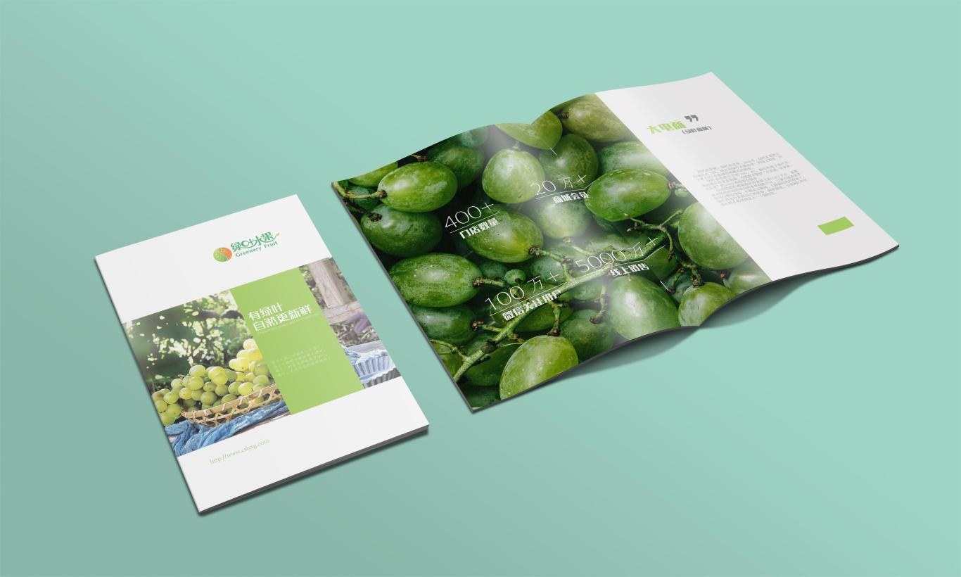 绿叶水果画册设计图1