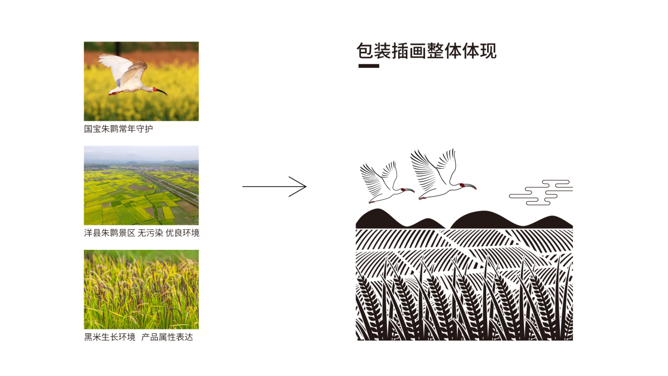 广州大米包装 黑米包装 农产品包装图5