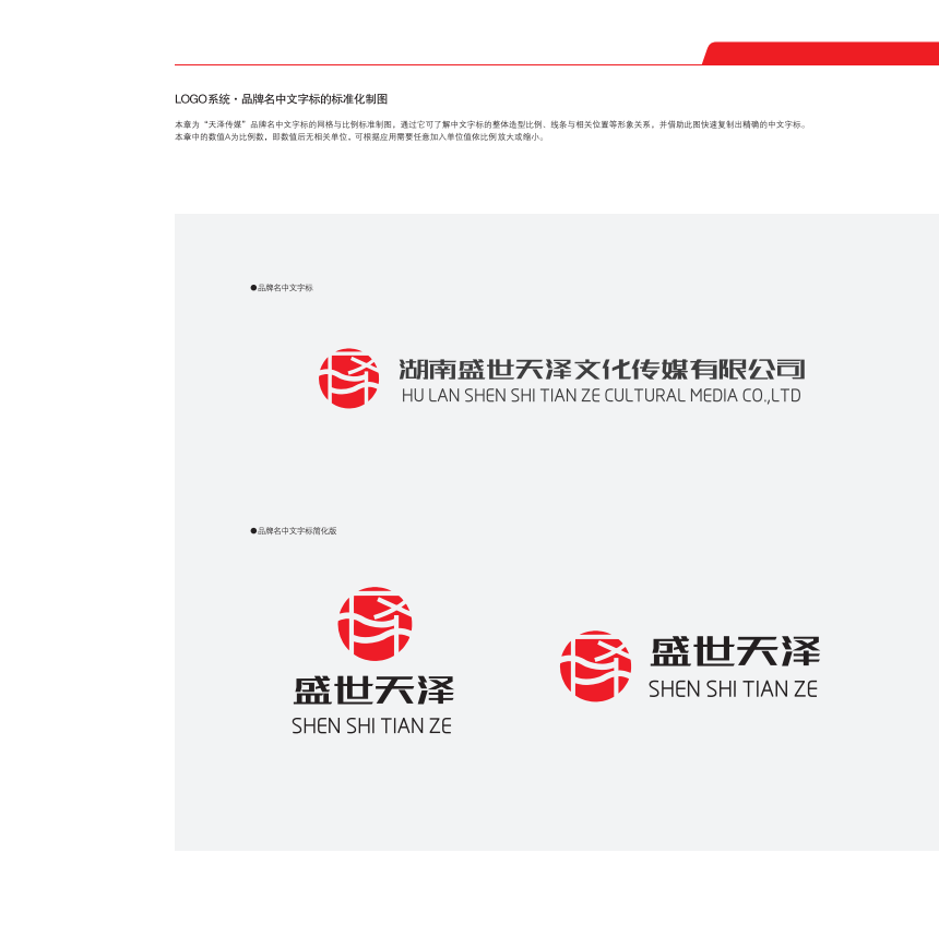 湖南盛世天泽文化传媒有限公司logo设计图1